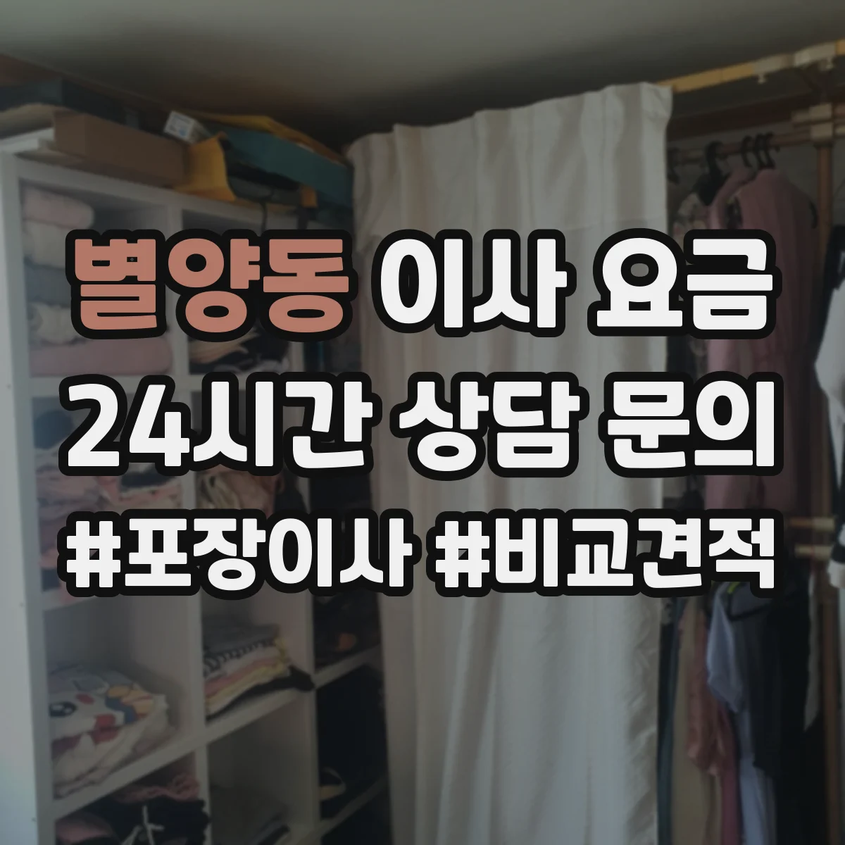 별양동 이사 요금