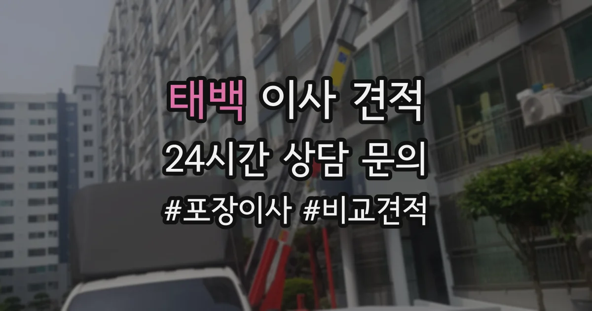 태백 이사 견적