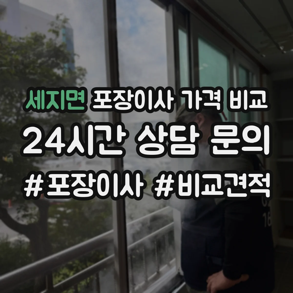 세지면 포장이사 가격 비교