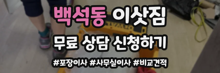 백석동 이삿짐