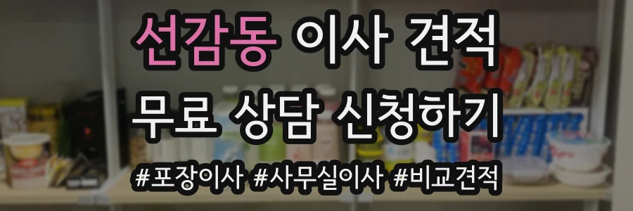 선감동 이사 견적