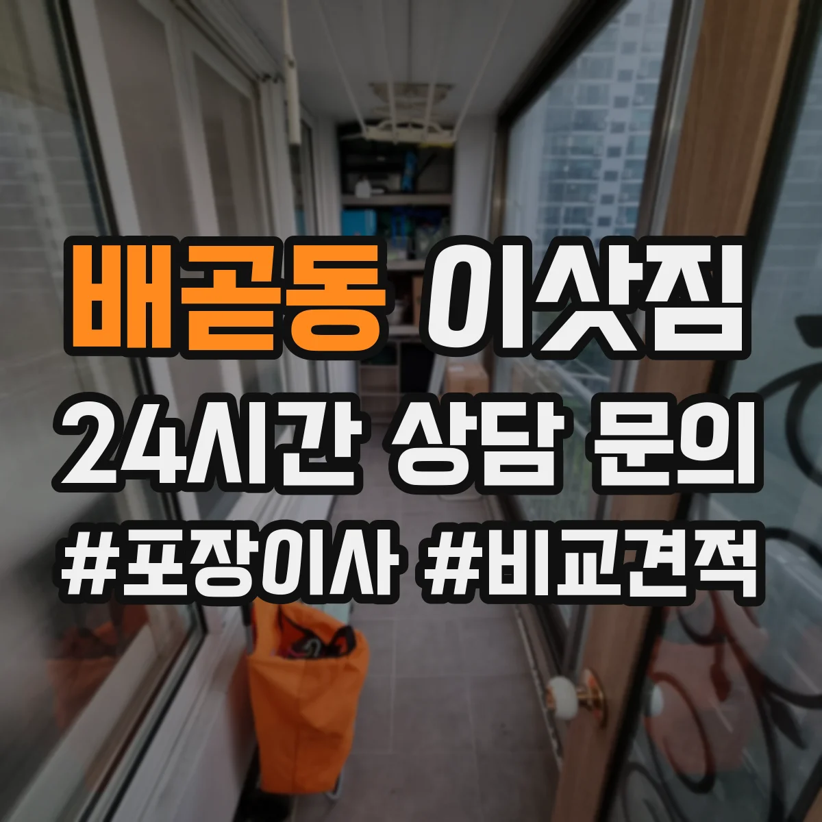 배곧동 이삿짐