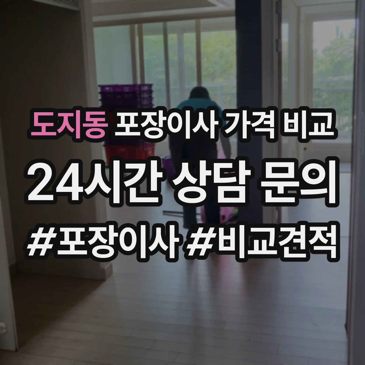 도지동 포장이사 가격 비교