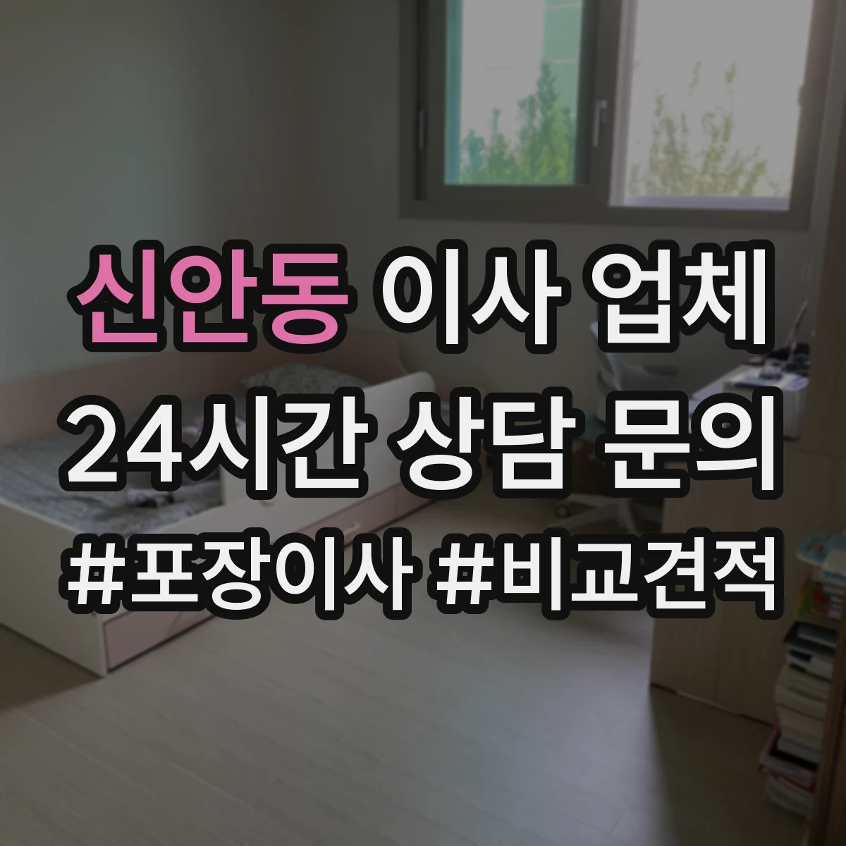 신안동 이사 업체