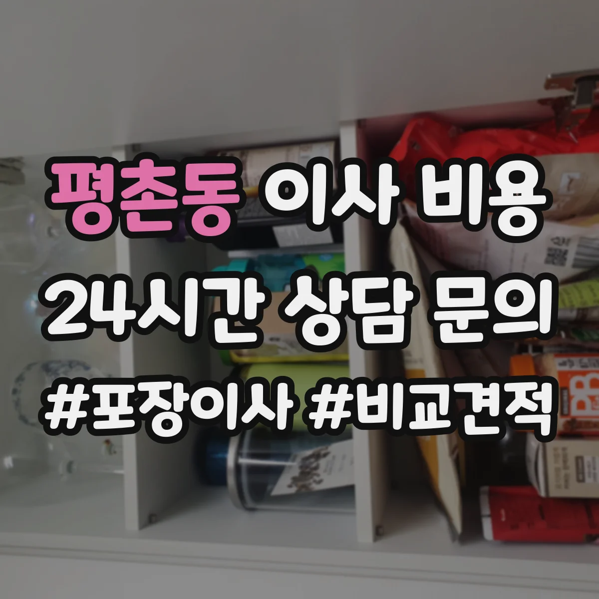 평촌동 이사 비용