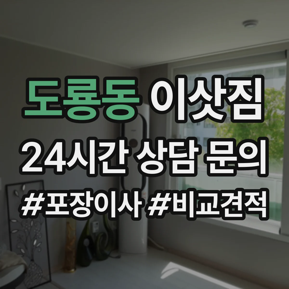 도룡동 이삿짐