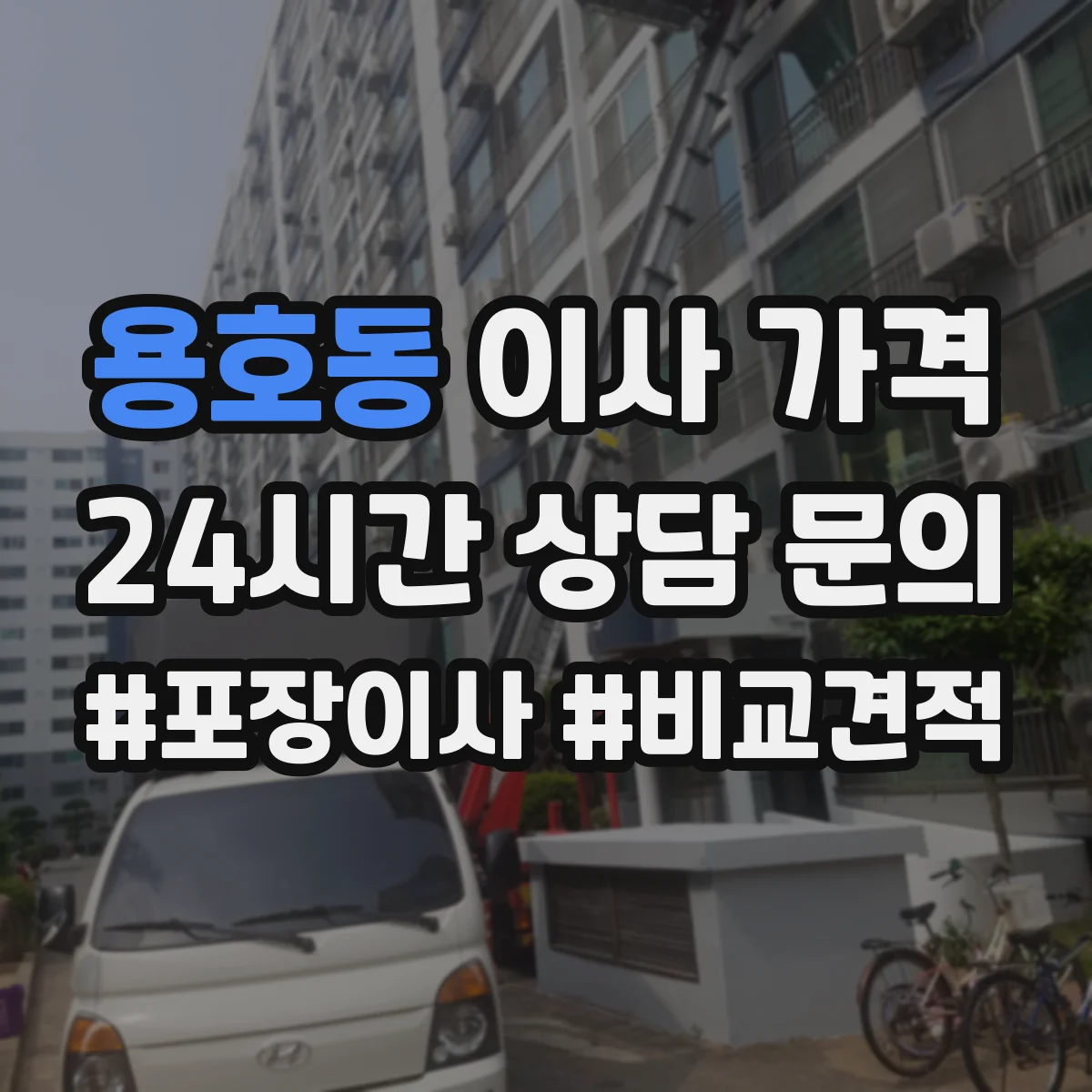용호동 이사 가격