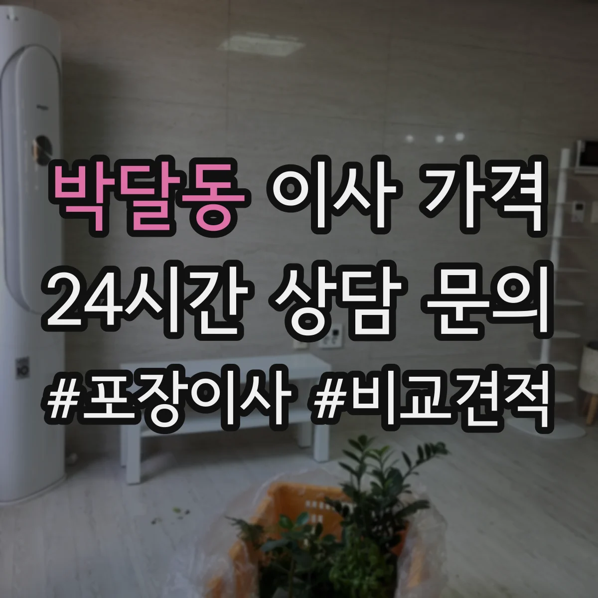 박달동 이사 가격