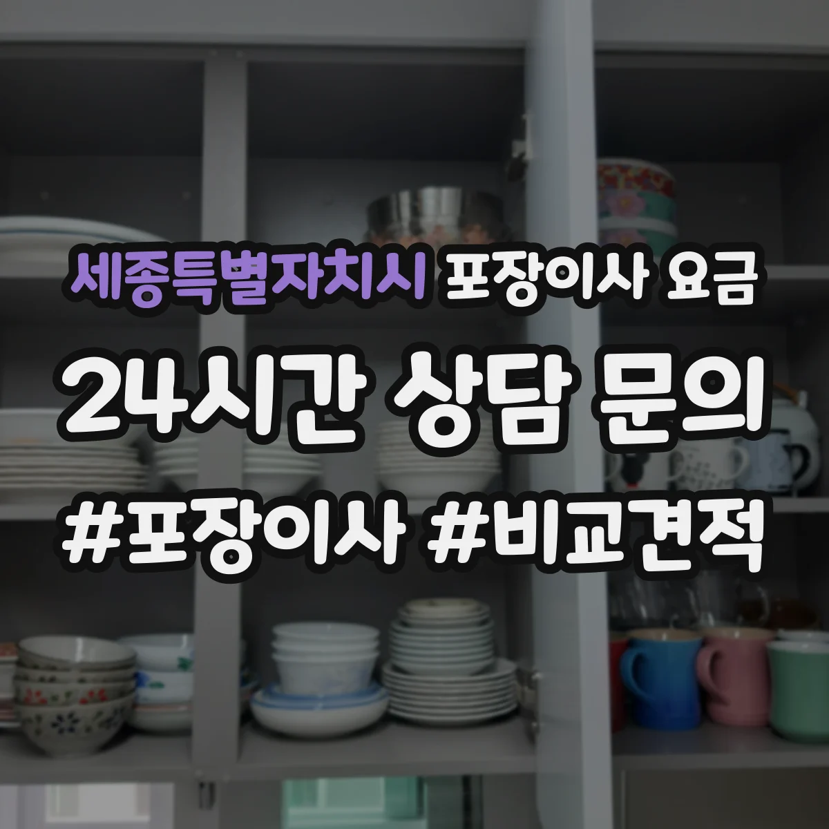 세종특별자치시 포장이사 요금