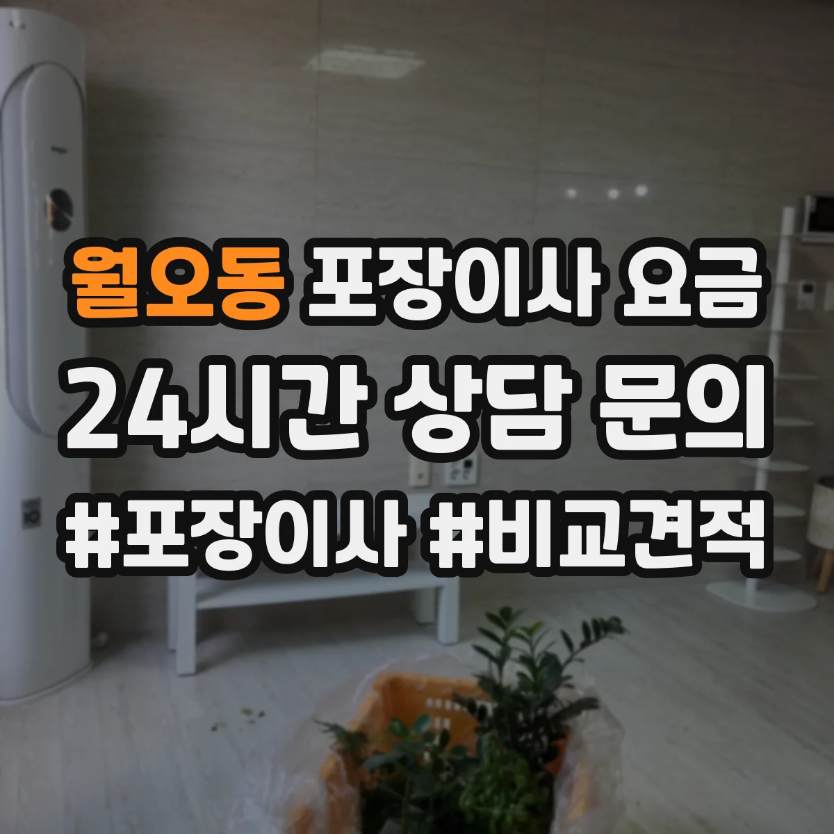 월오동 포장이사 요금