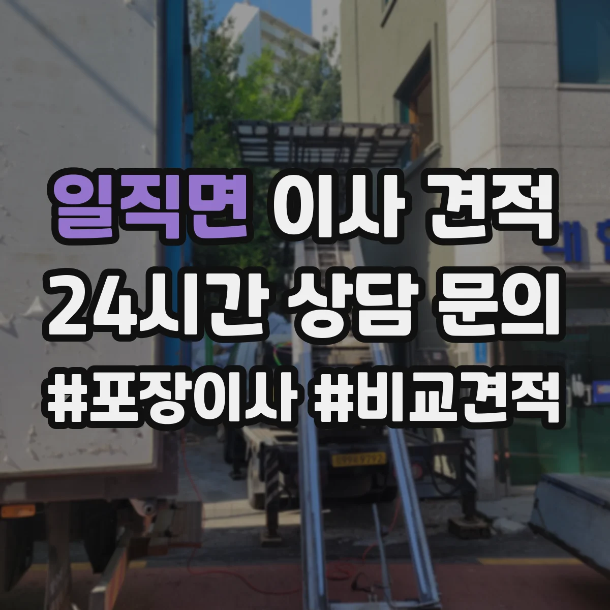 일직면 이사 견적