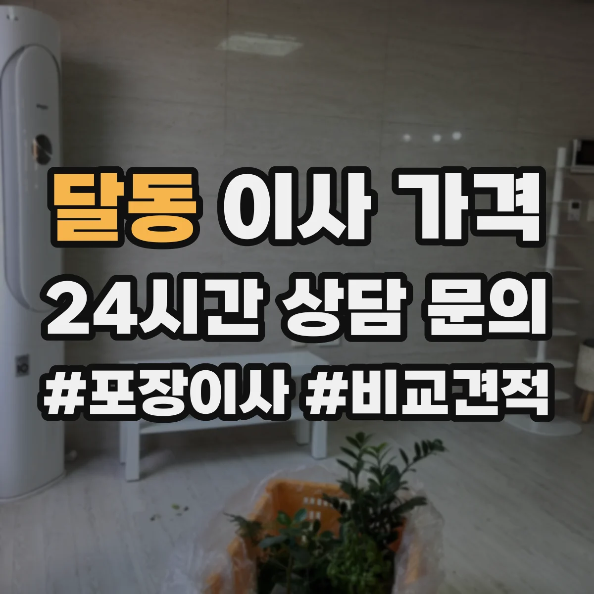 달동 이사 가격