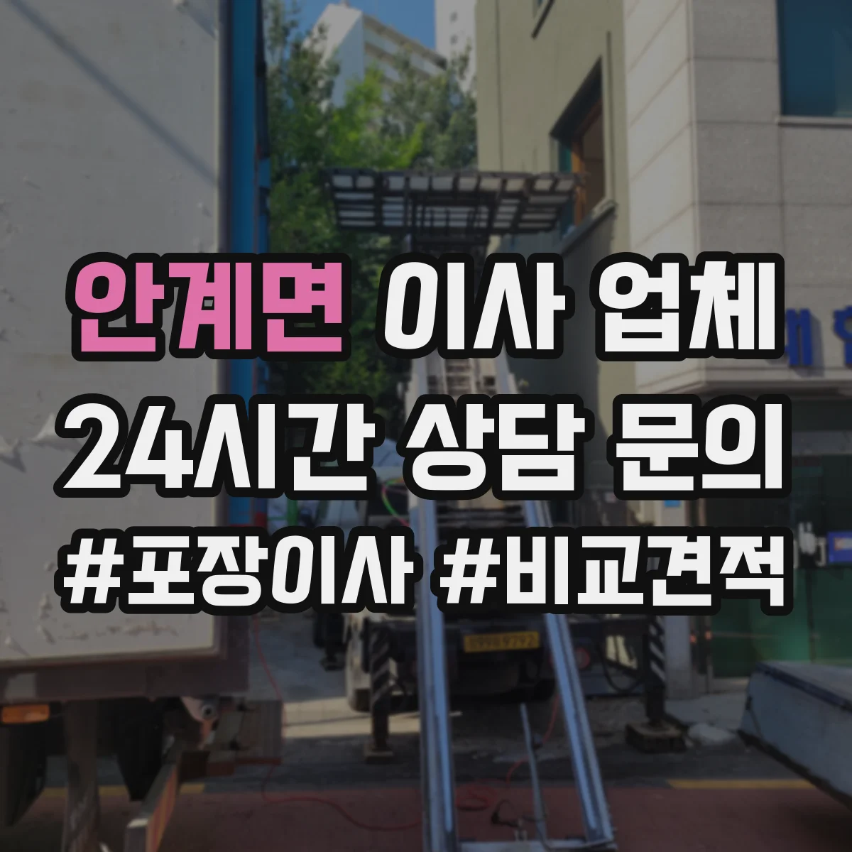안계면 이사 업체