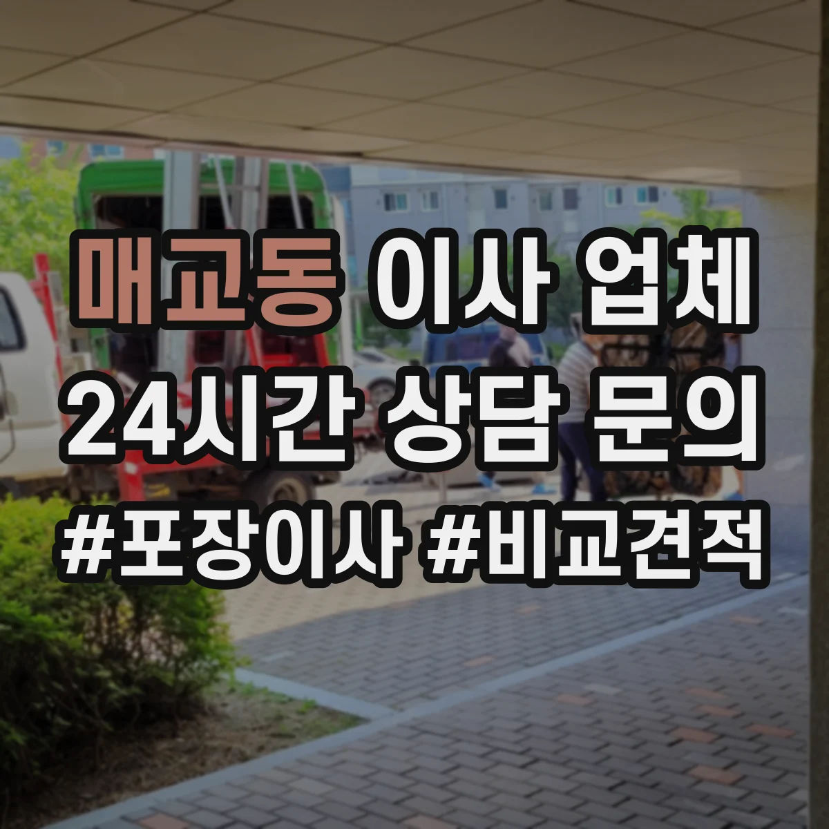 매교동 이사 업체