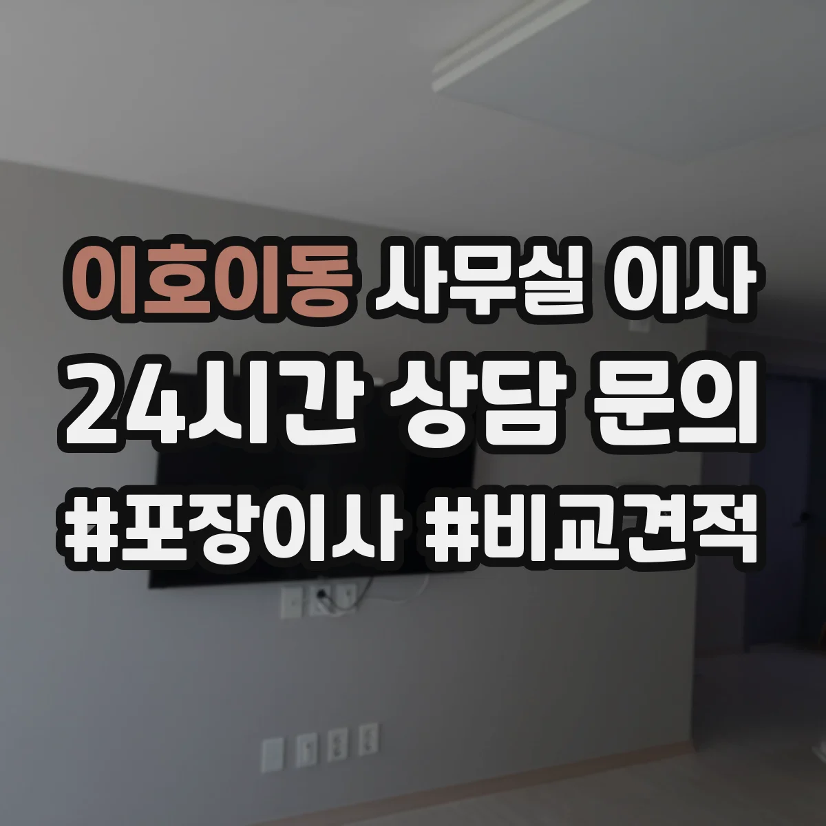 이호이동 사무실 이사