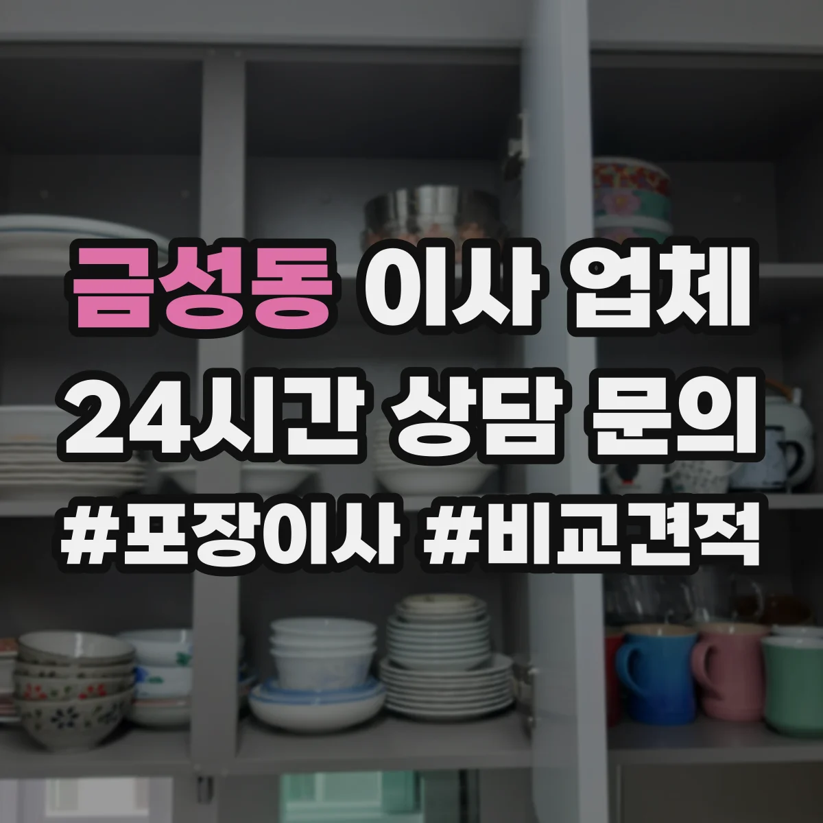 금성동 이사 업체