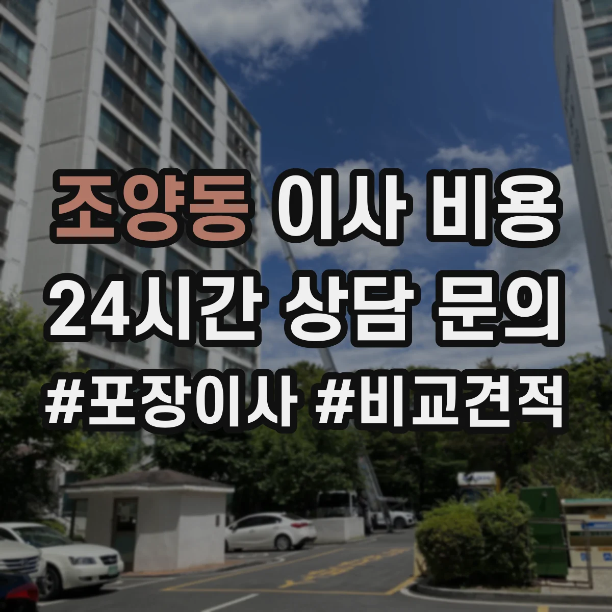 조양동 이사 비용