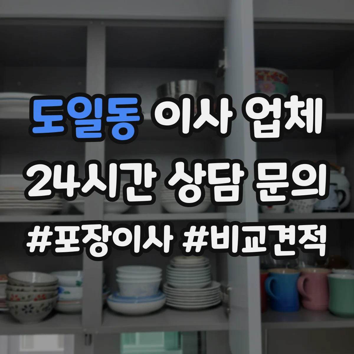도일동 이사 업체