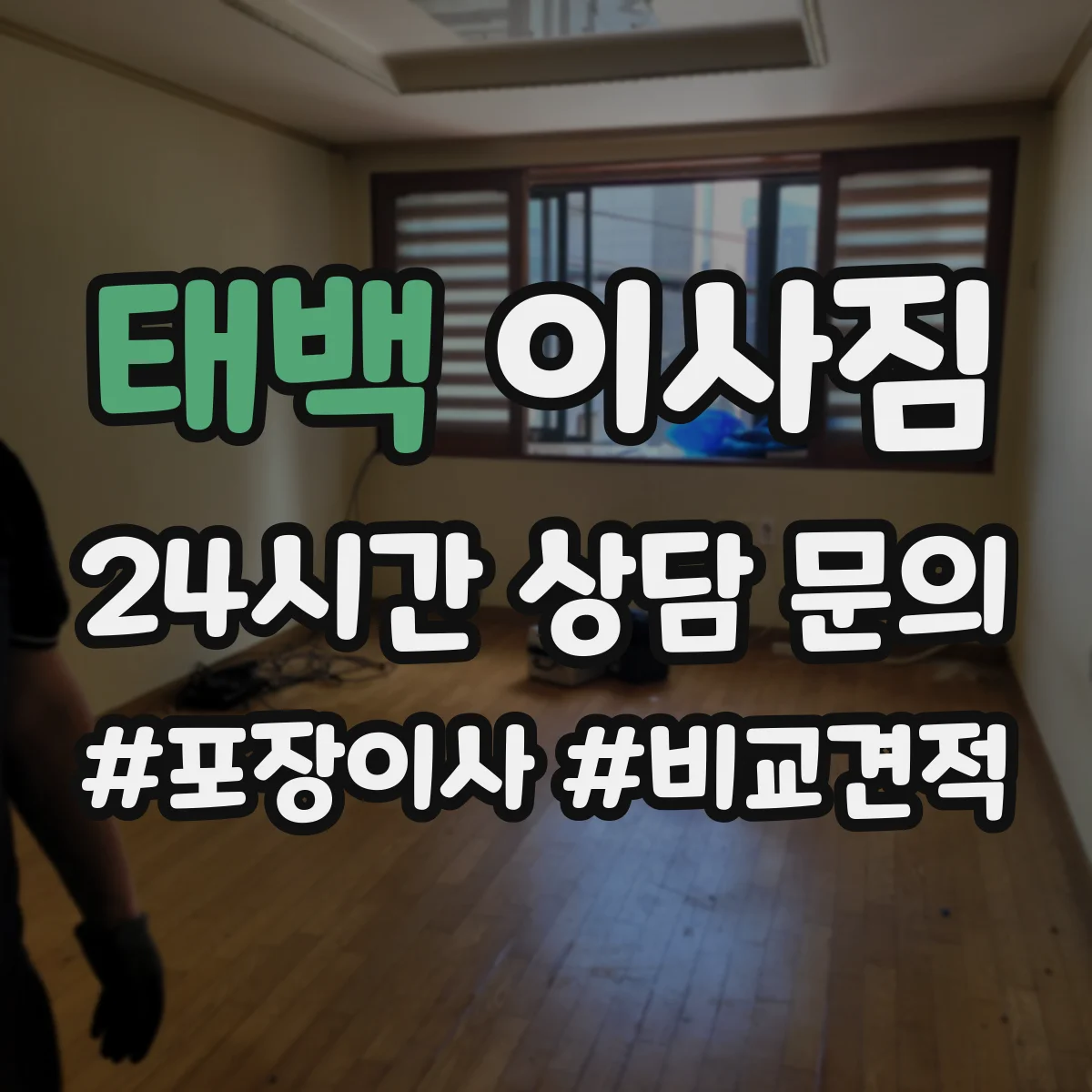 태백 이사짐
