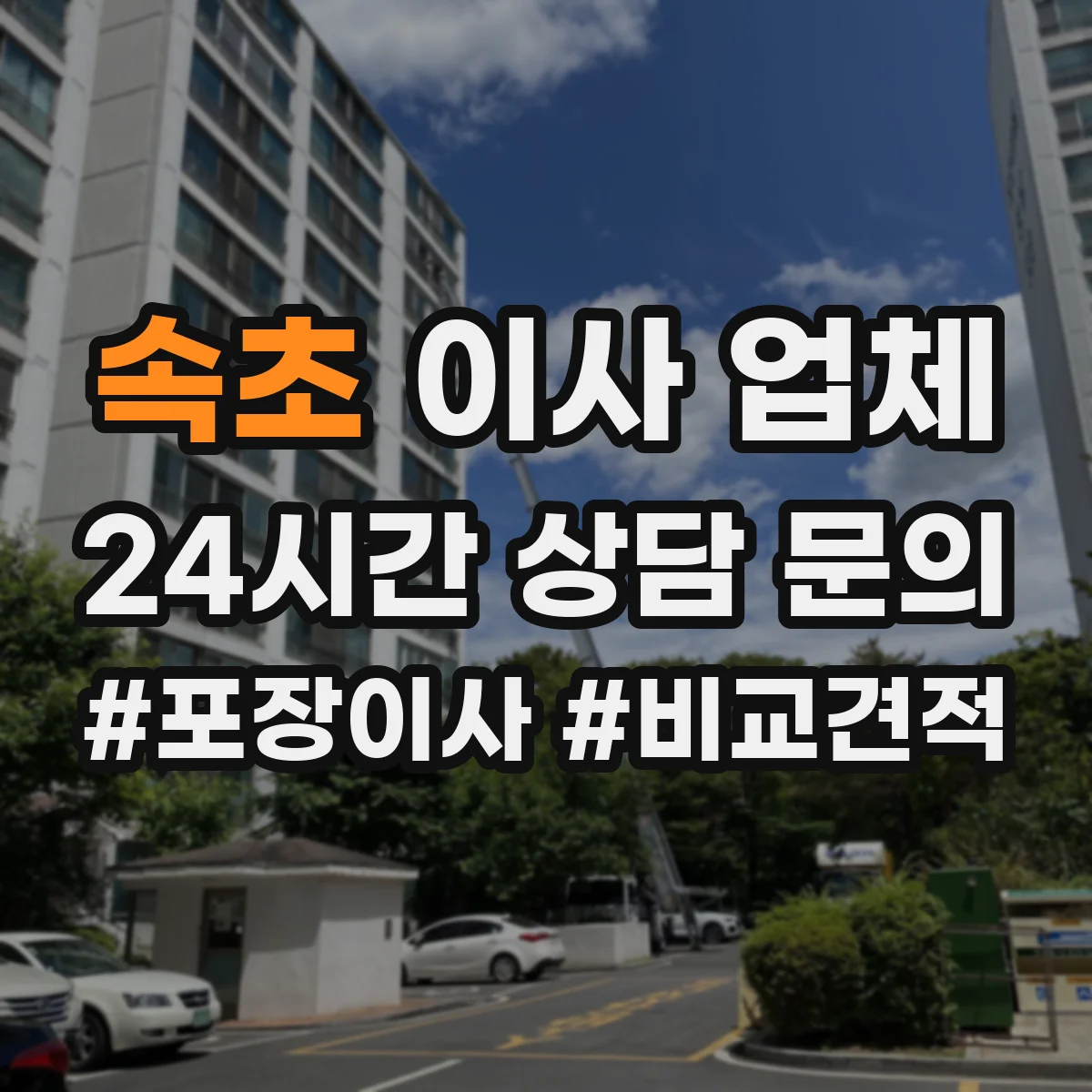 속초 이사 업체