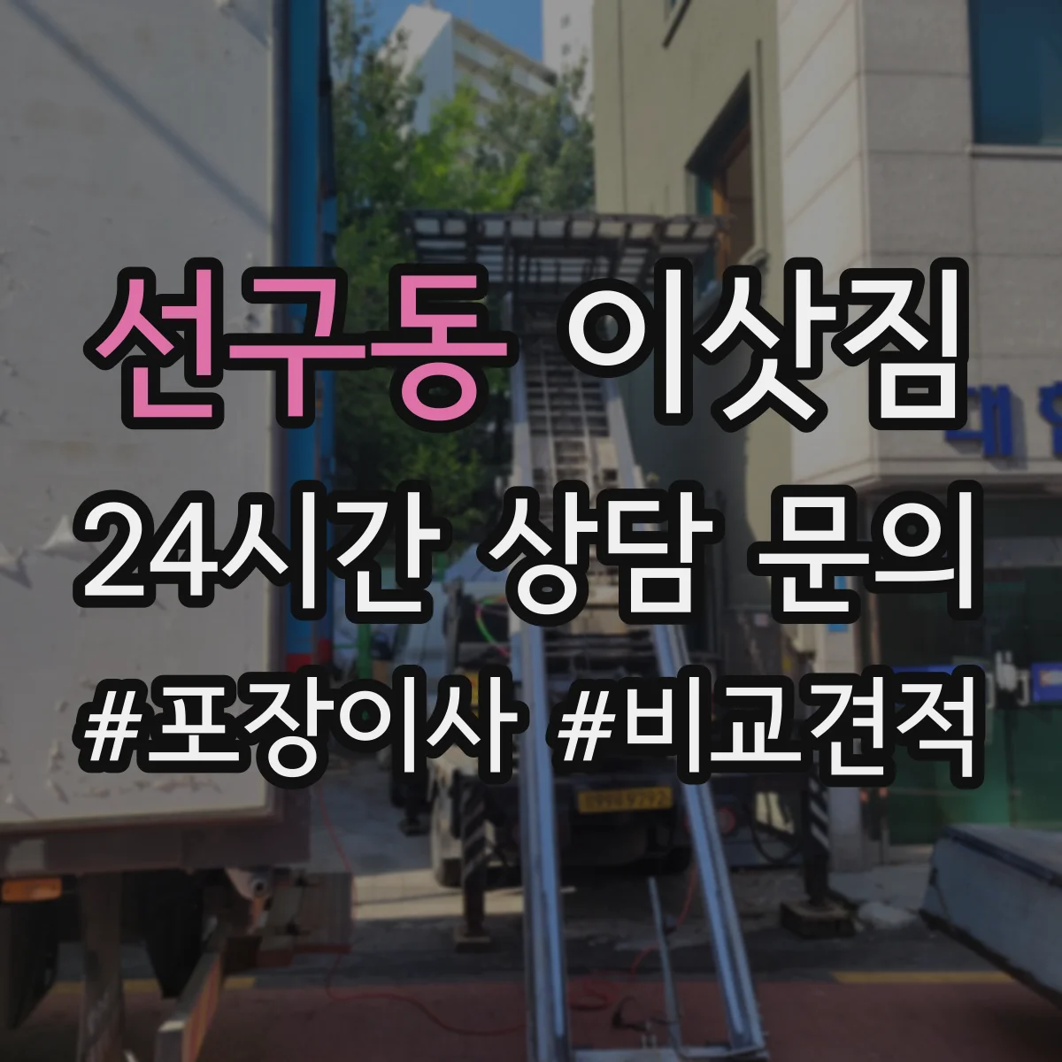 선구동 이삿짐