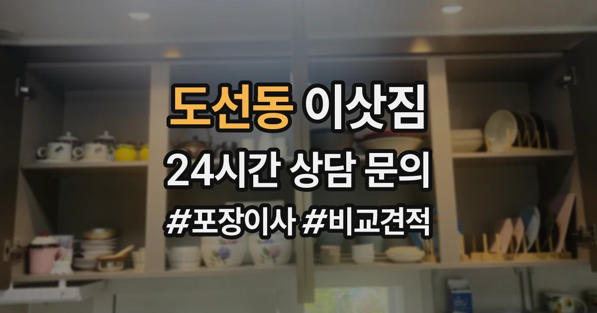 도선동 이삿짐