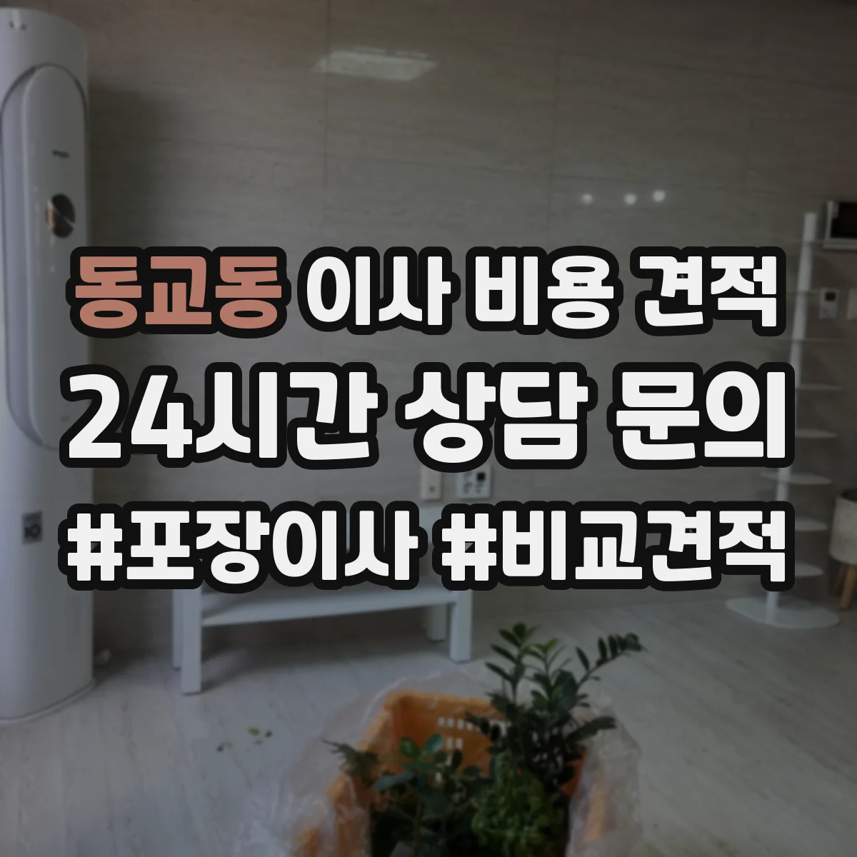 동교동 이사 비용 견적