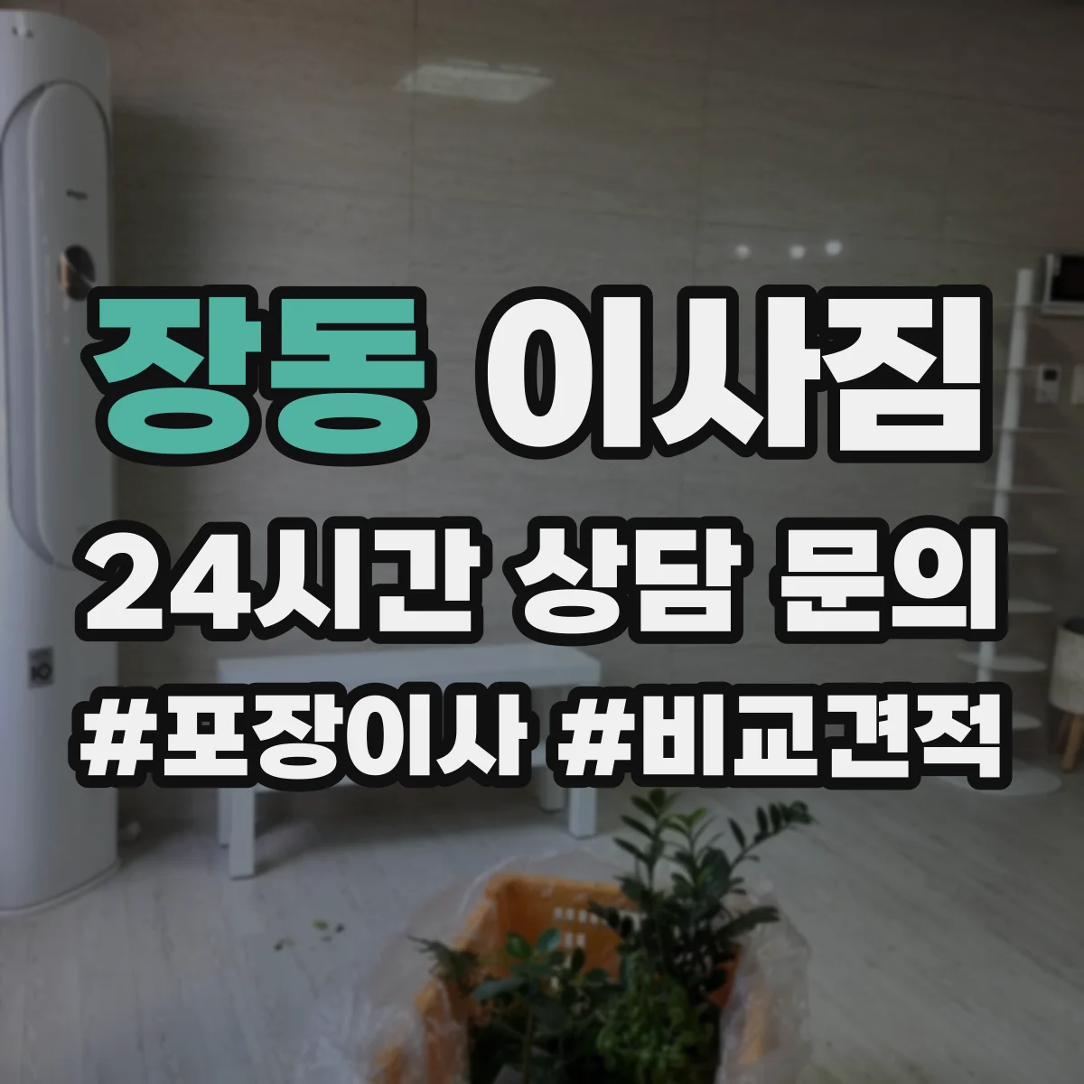 장동 이사짐