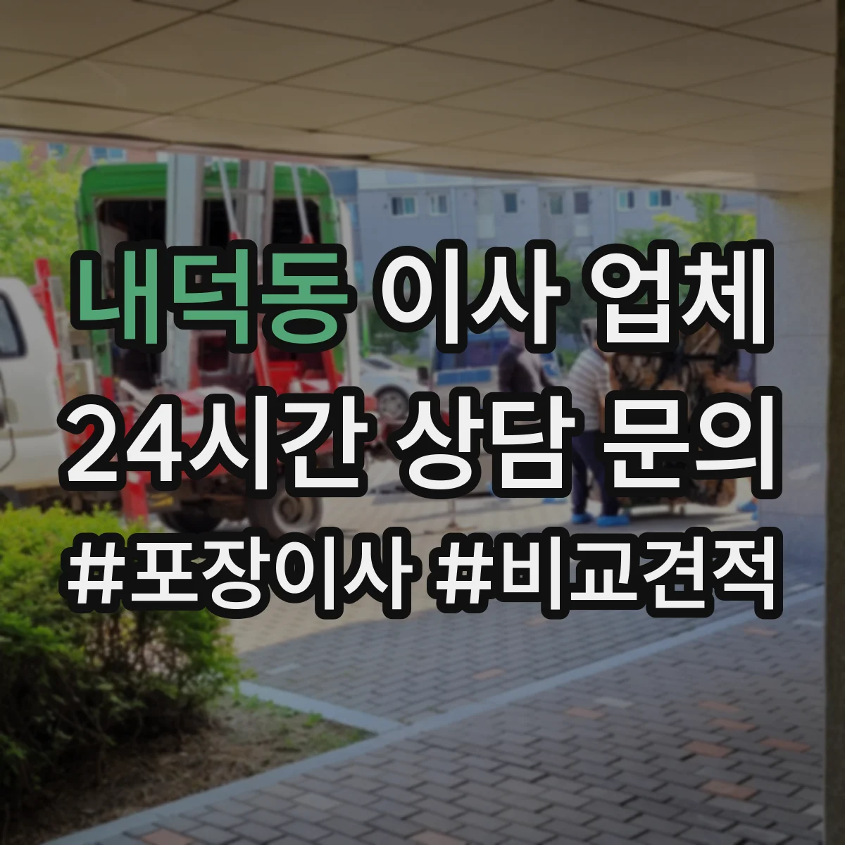 내덕동 이사 업체