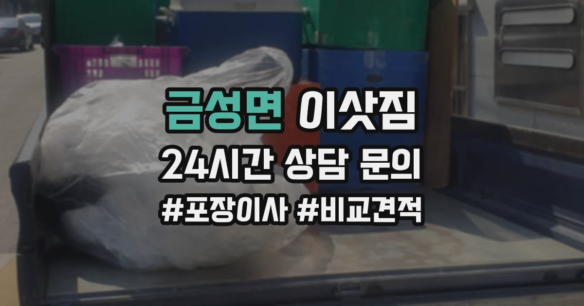금성면 이삿짐