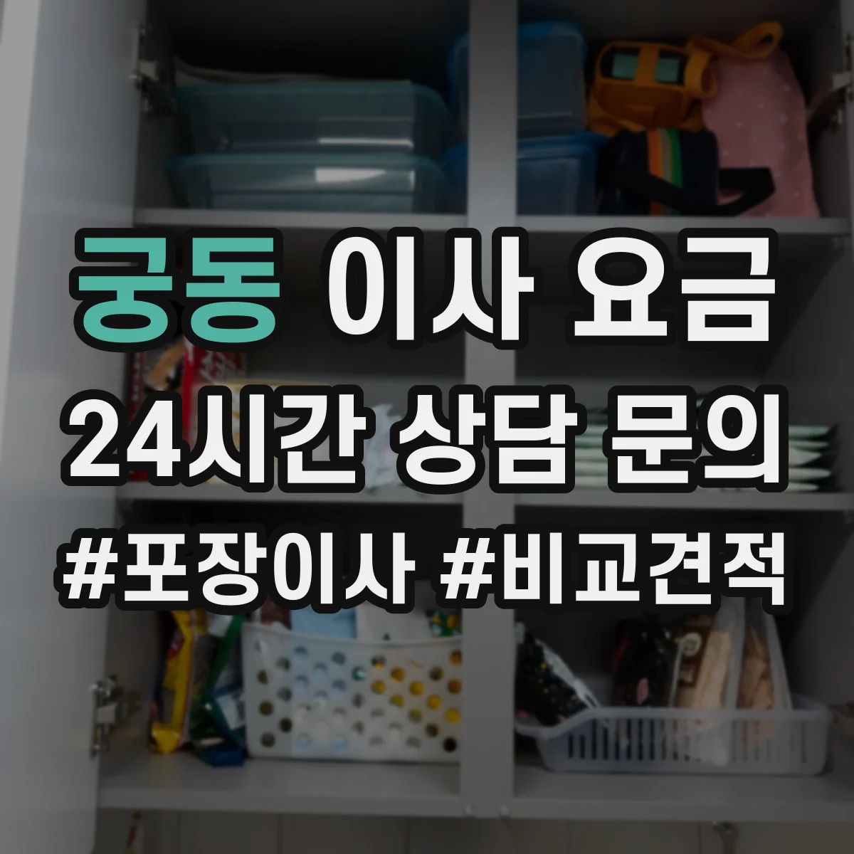 궁동 이사 요금