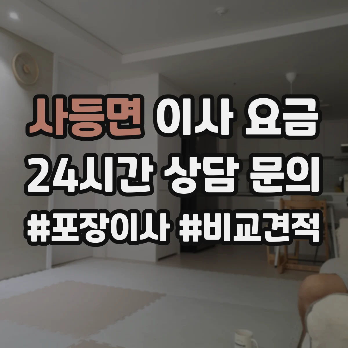 사등면 이사 요금
