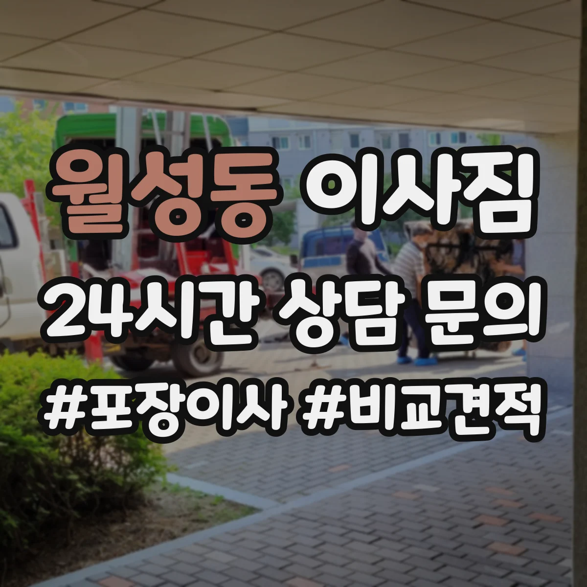 월성동 이사짐