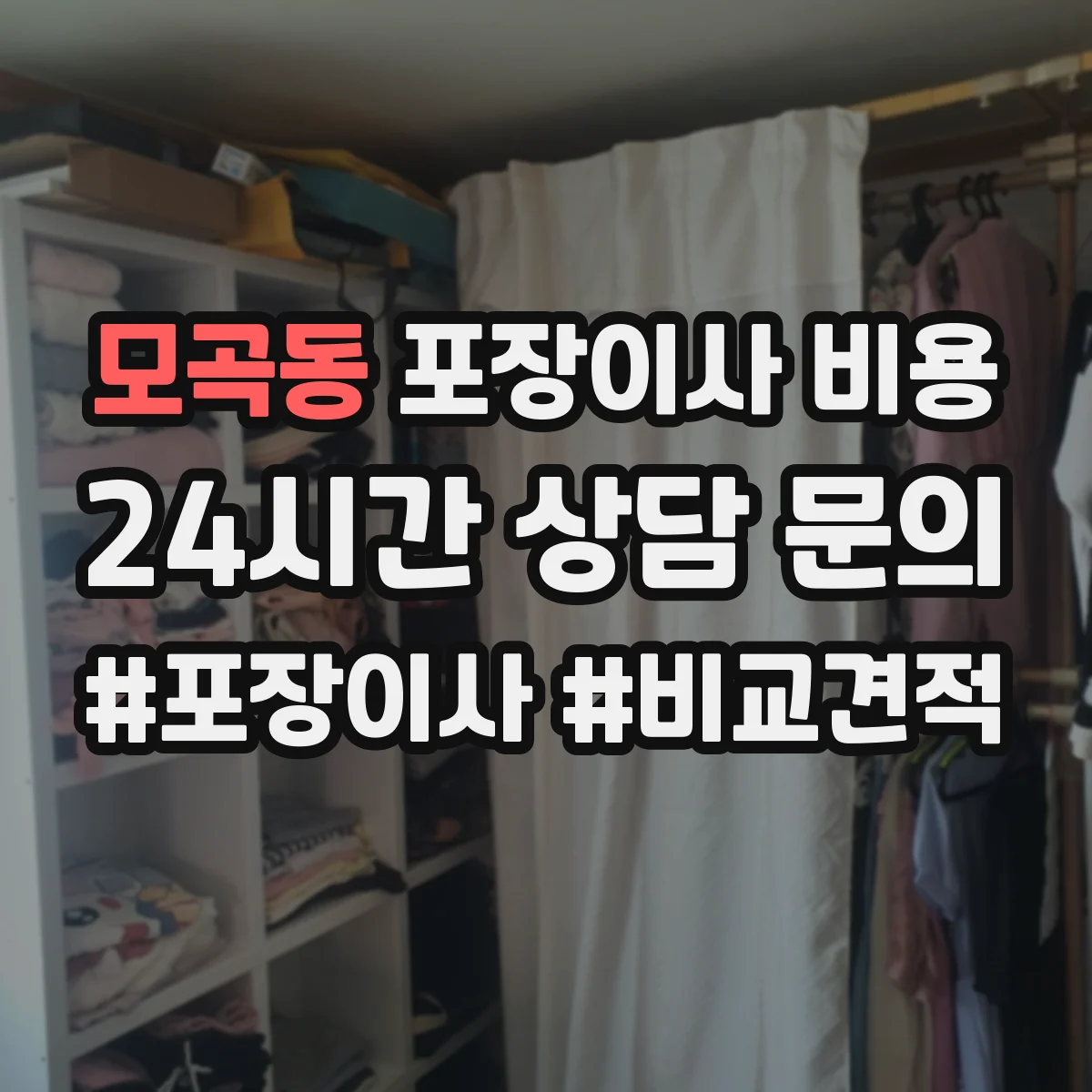 모곡동 포장이사 비용