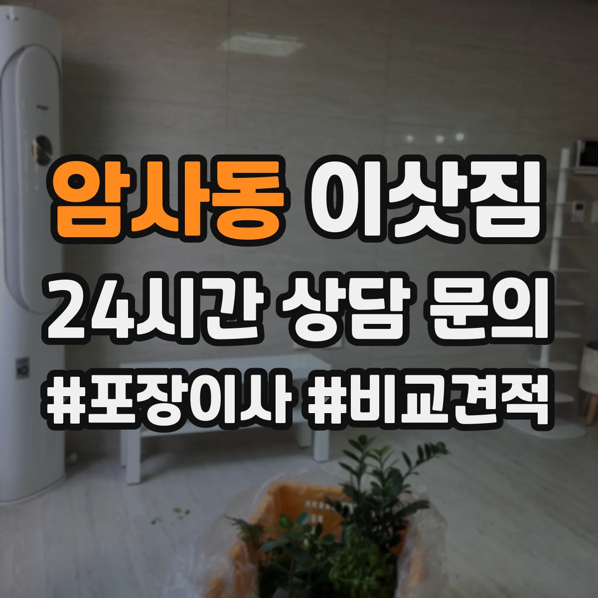암사동 이삿짐