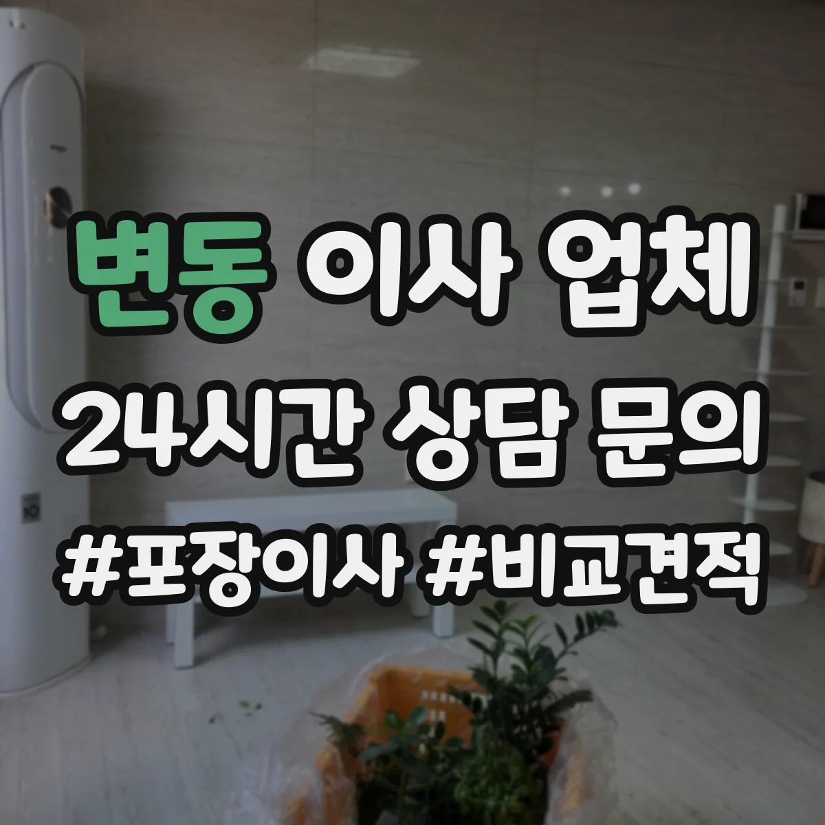 변동 이사 업체