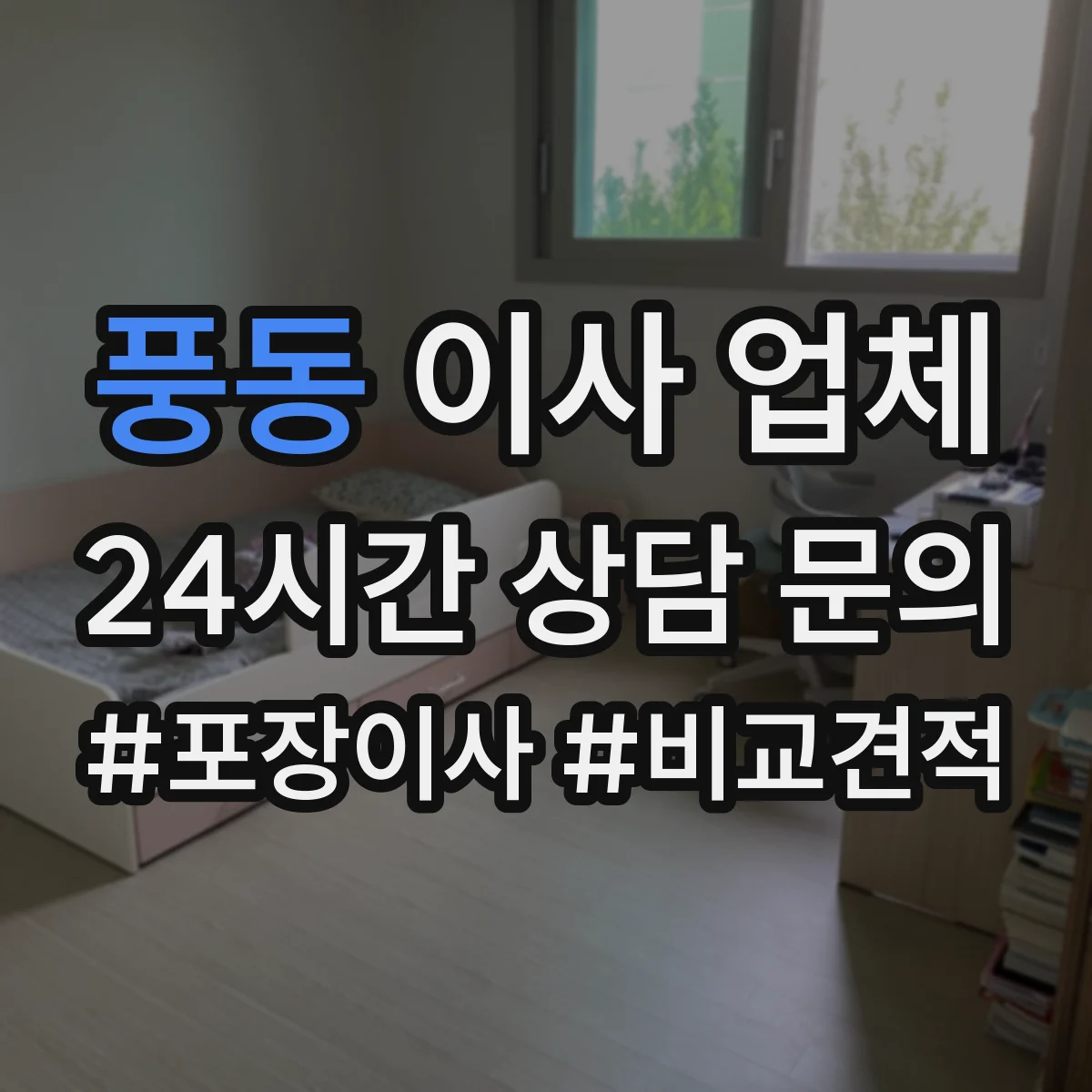 풍동 이사 업체