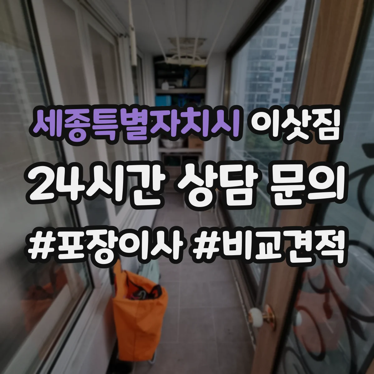세종특별자치시 이삿짐