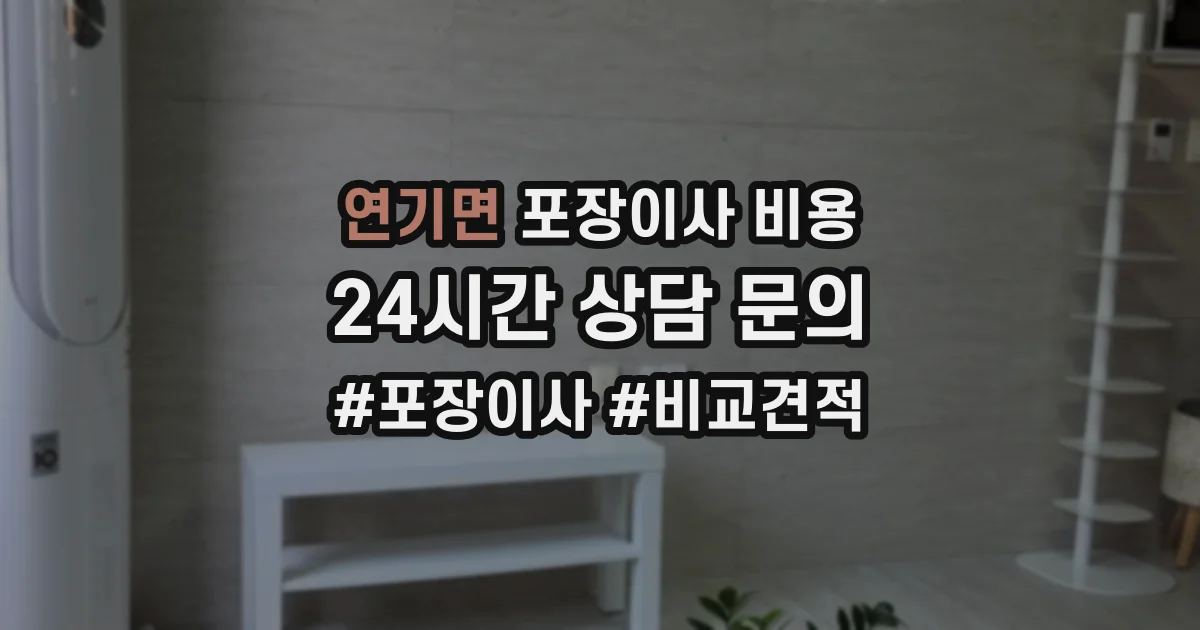연기면 포장이사 비용