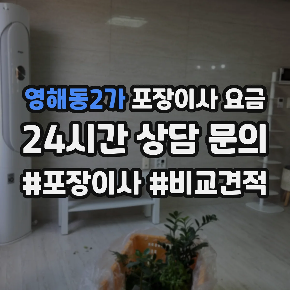영해동2가 포장이사 요금