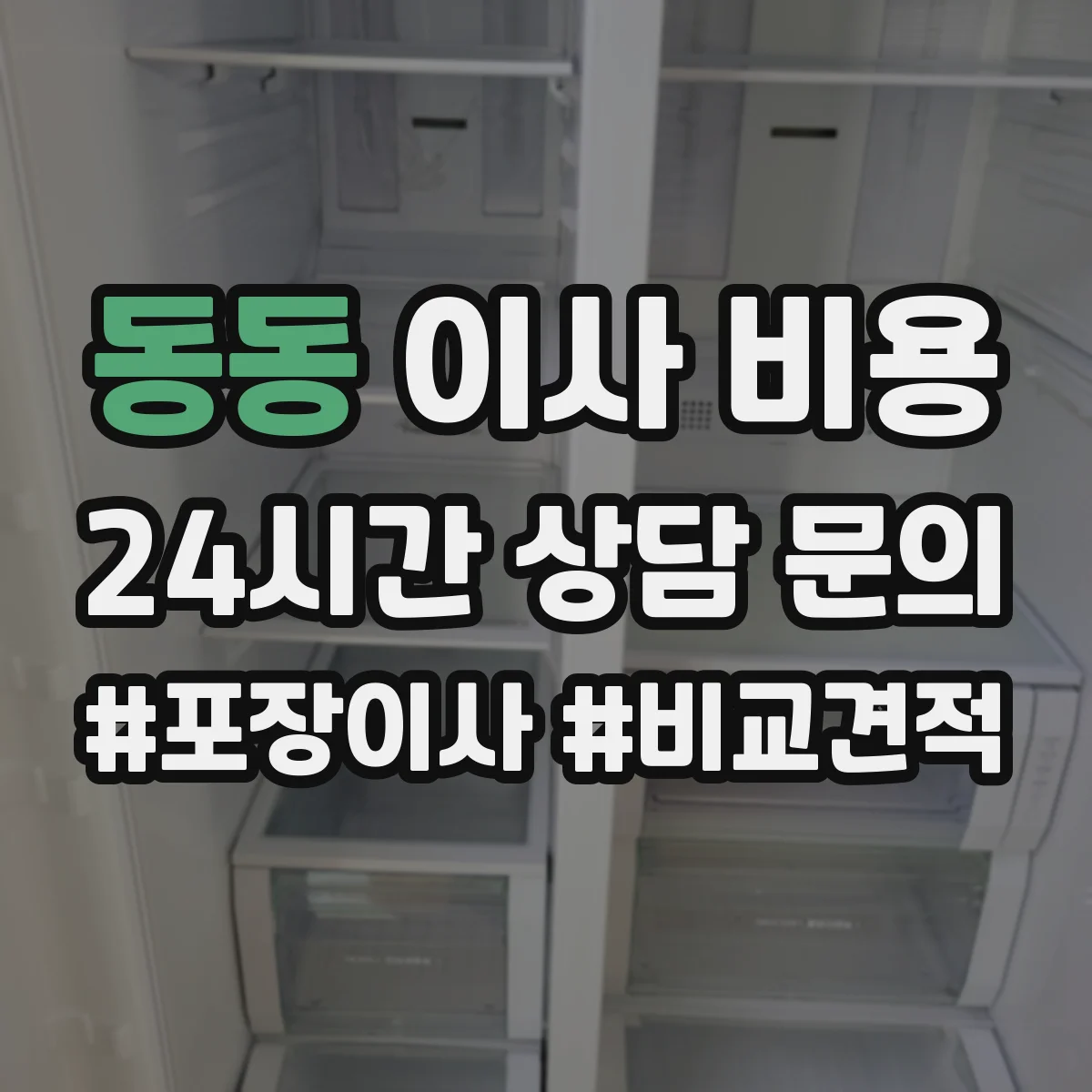 동동 이사 비용