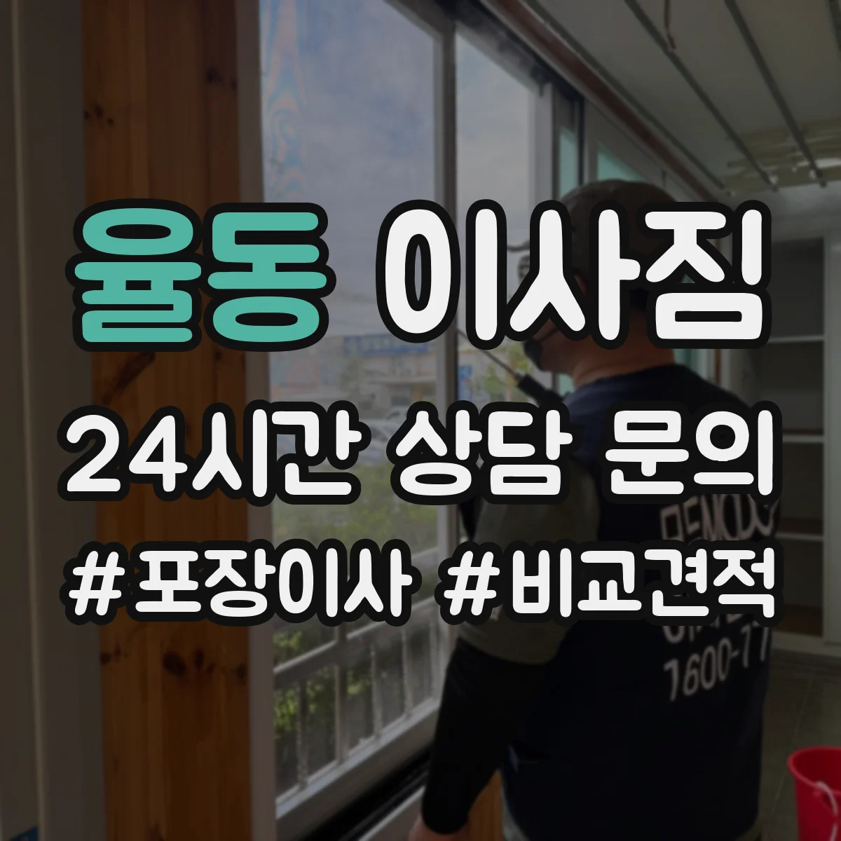 율동 이사짐