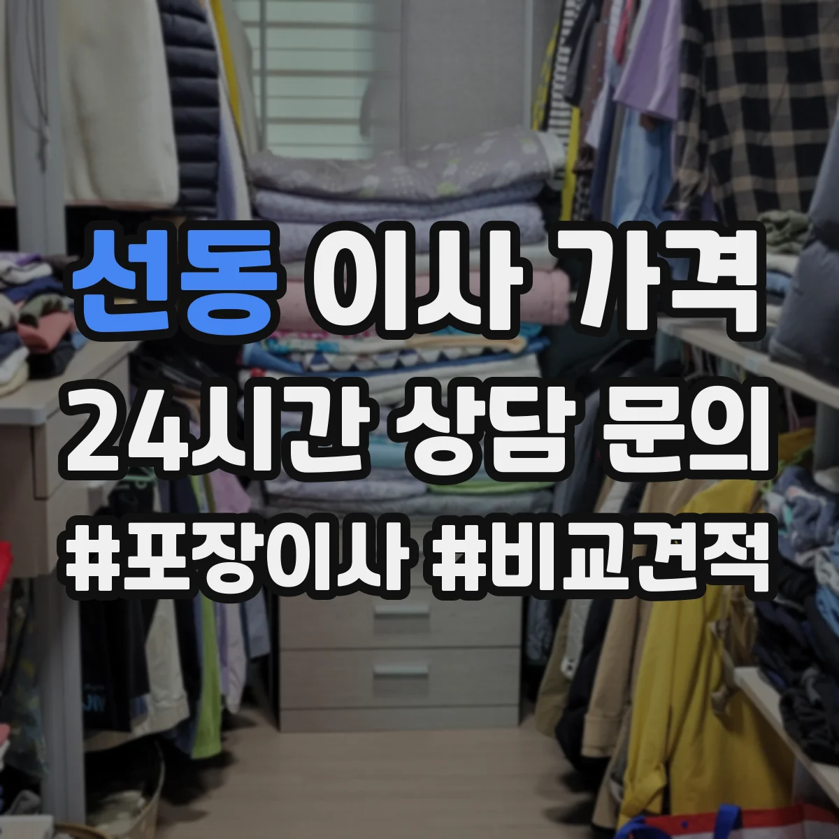 선동 이사 가격