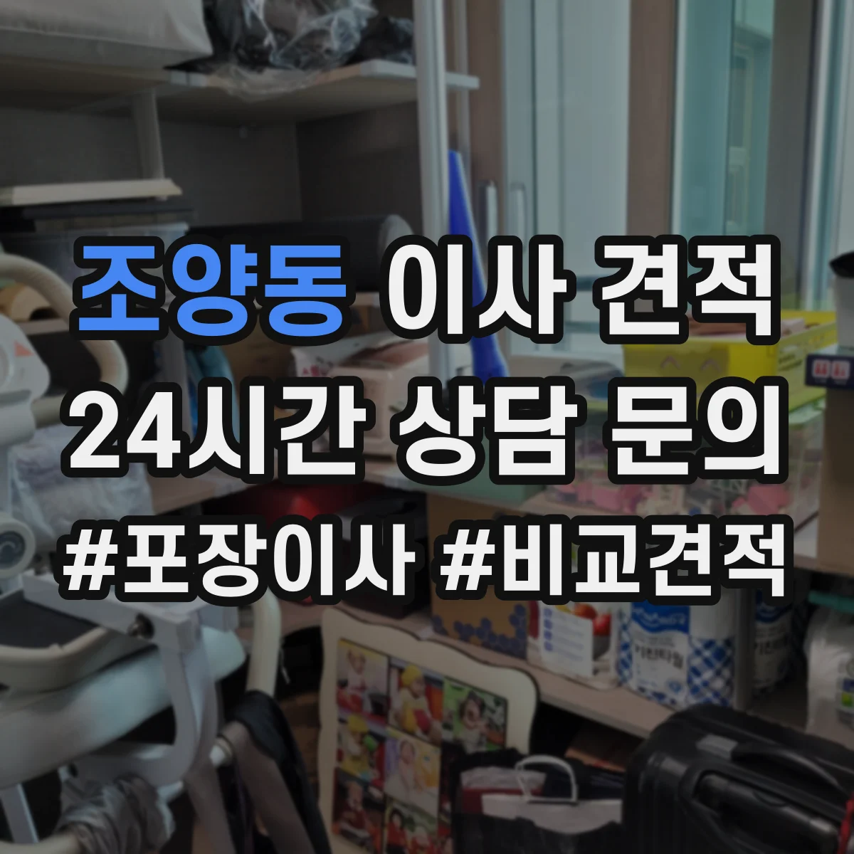 조양동 이사 견적
