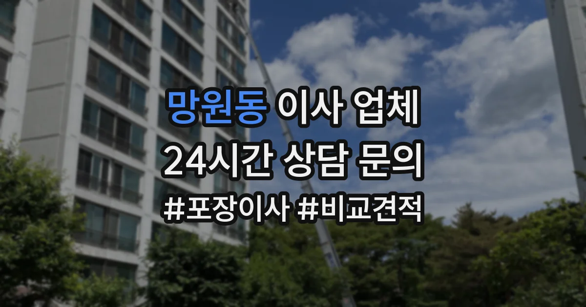 망원동 이사 업체