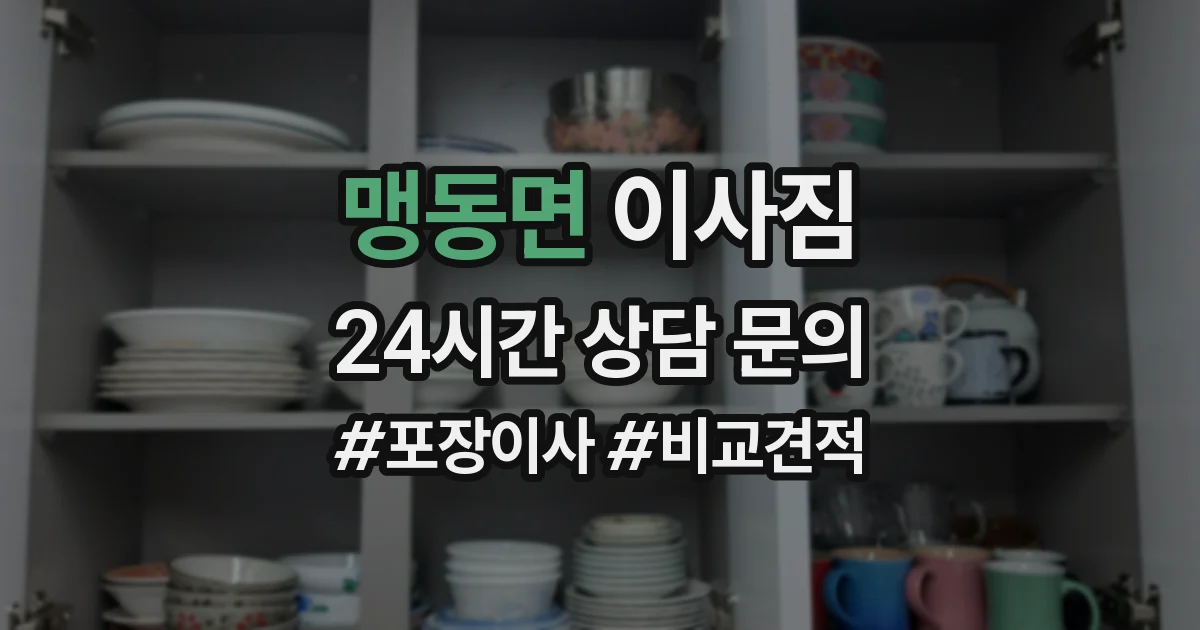 맹동면 이사짐