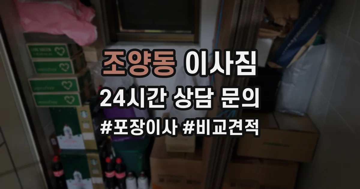 조양동 이사짐