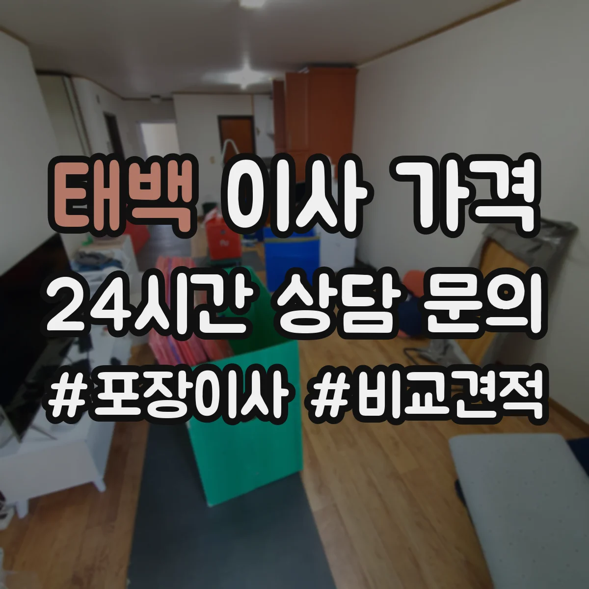 태백 이사 가격