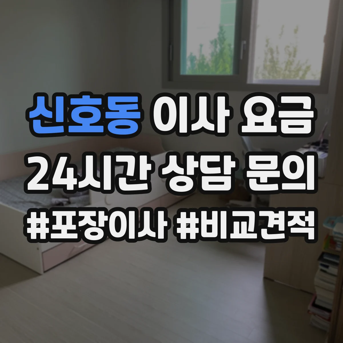 신호동 이사 요금