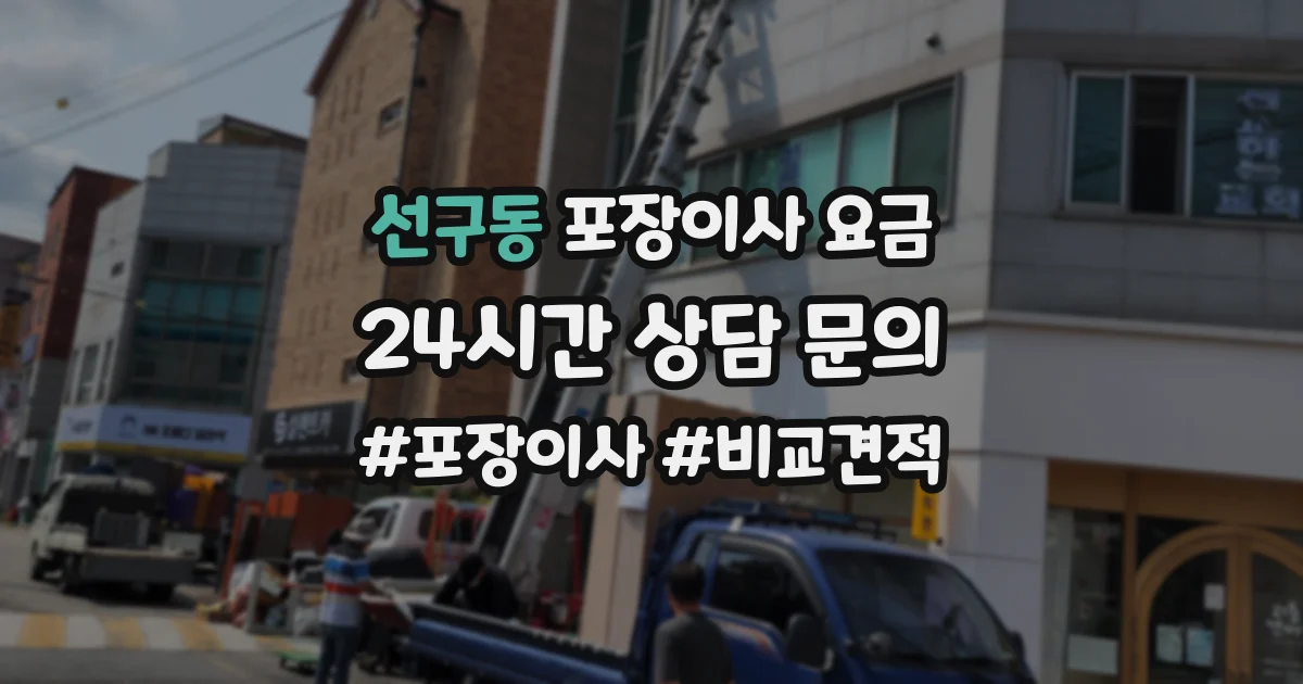 선구동 포장이사 요금